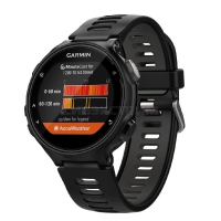 Беговые GPS часы GARMIN Forerunner 735XT HRM-Run 