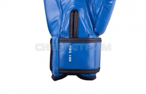 Боксерские перчатки RBG-100 Dx Blue