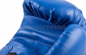 Боксерские перчатки RBG-100 Dx Blue